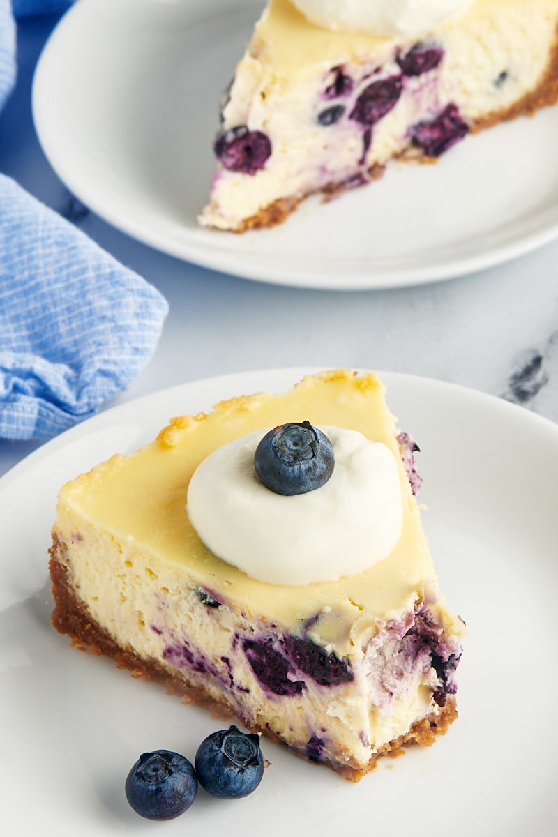 blueberry cheesecake slice