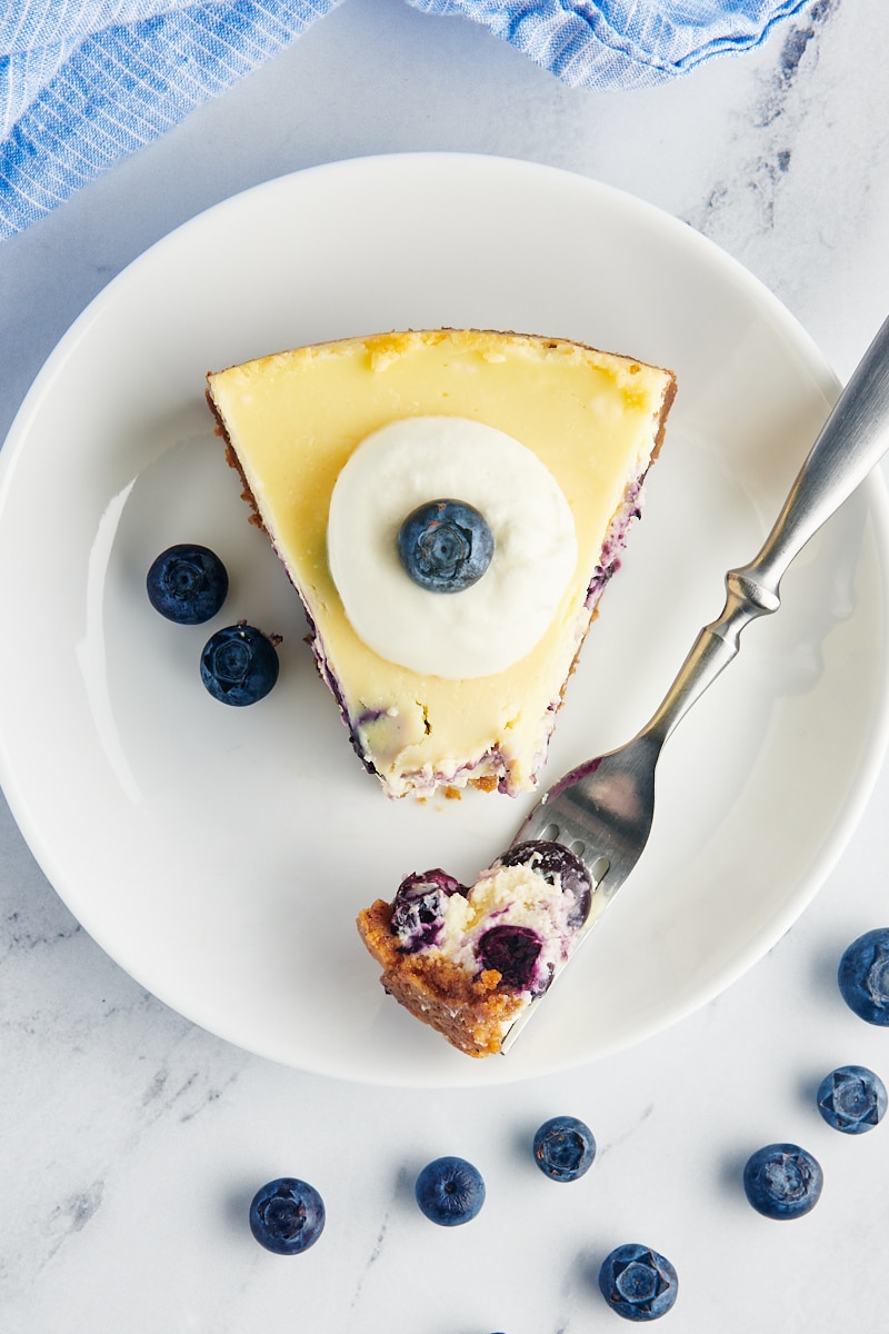 overhead view of a slice of blueberry cheesecake on a white plate with a bite of cheesecake on a fork