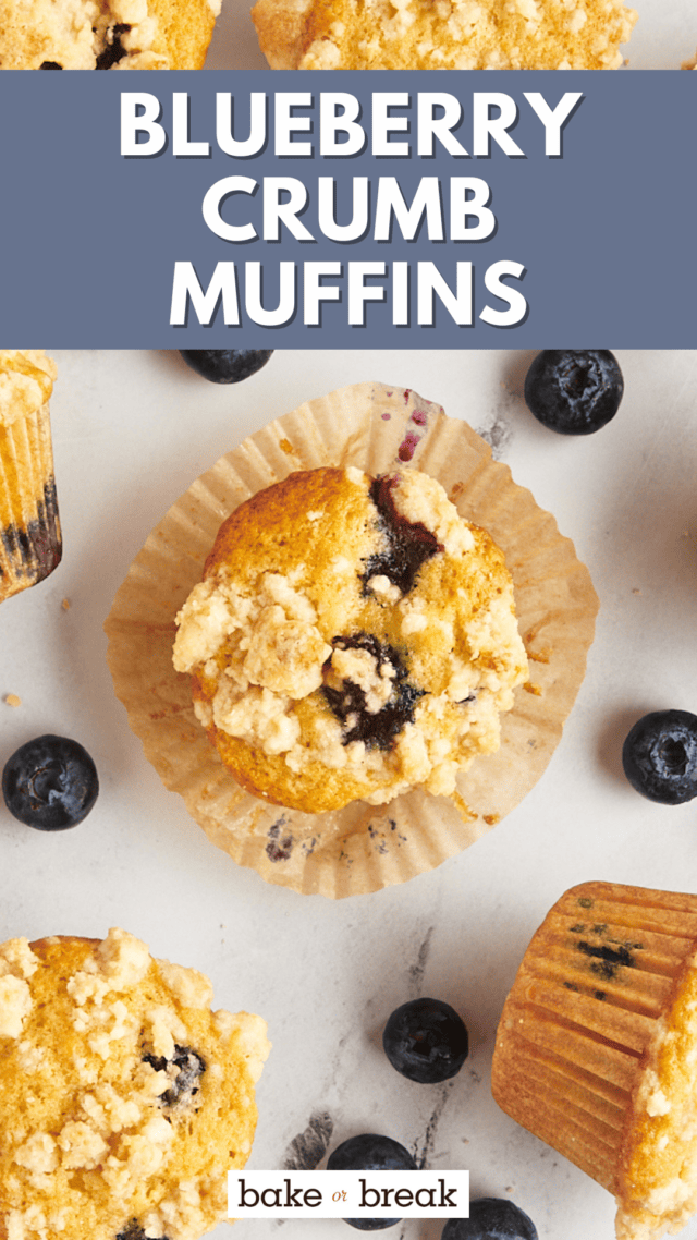 Blueberry Crumb Muffins bake or break