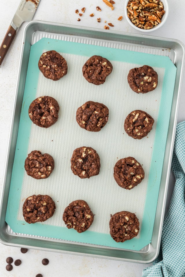 Overhead view of double chocolate cookies on baking sheet