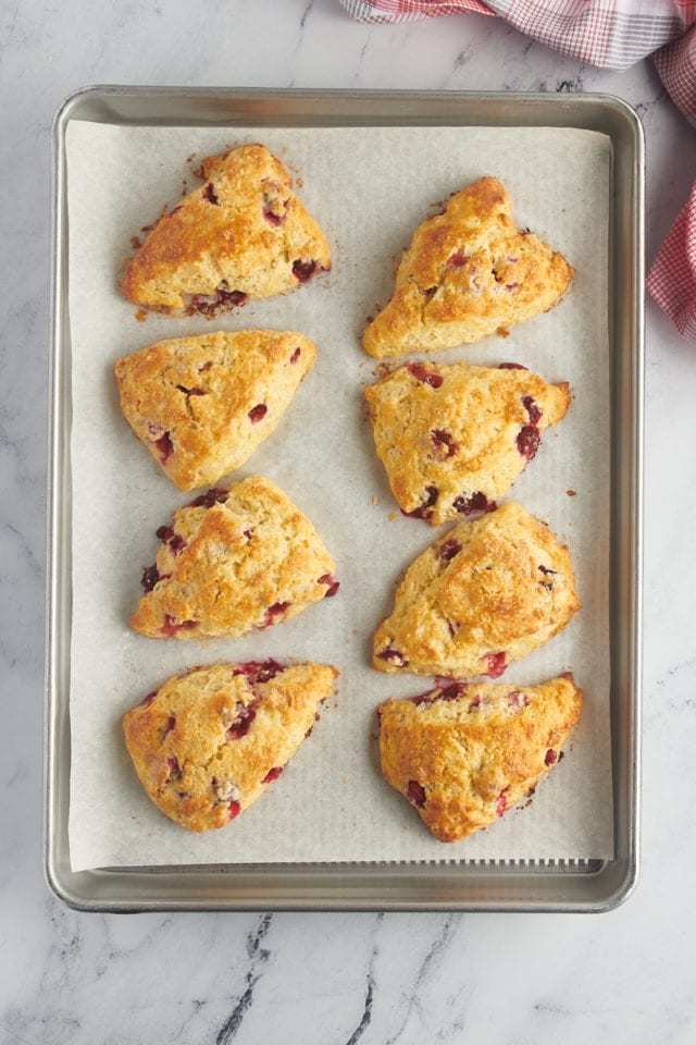 overhead view of freshly baked cranberry orange scones on a. parchment-lined baking sheet