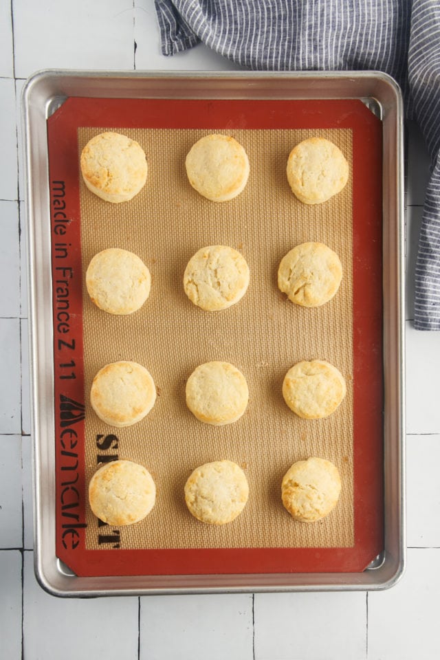 Overhead view of cream biscuits on silpat lined baking sheet
