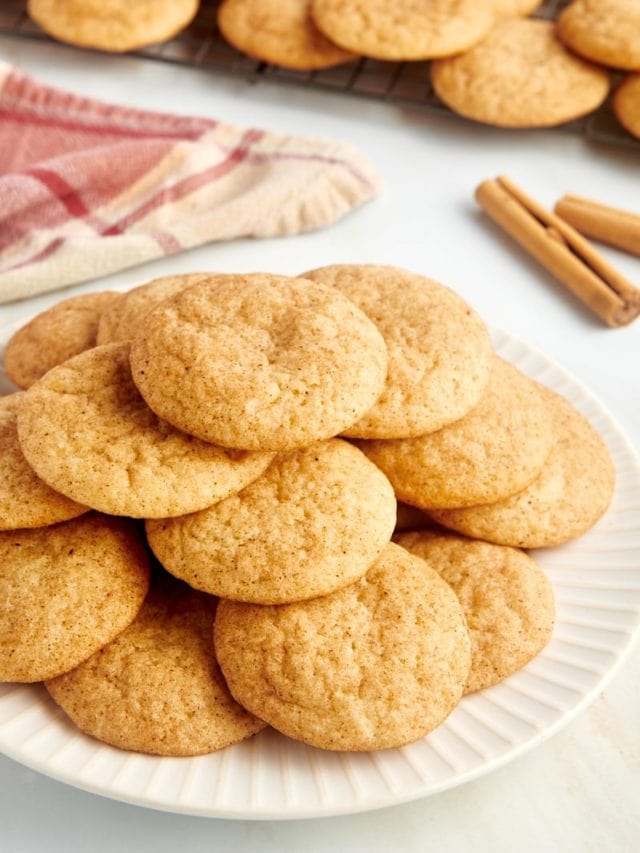 SNICKERDOODLES STORY Bake or Break