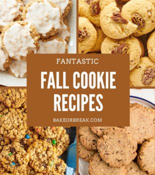 Fantastic Fall Cookie Recipes bakeorbreak.com