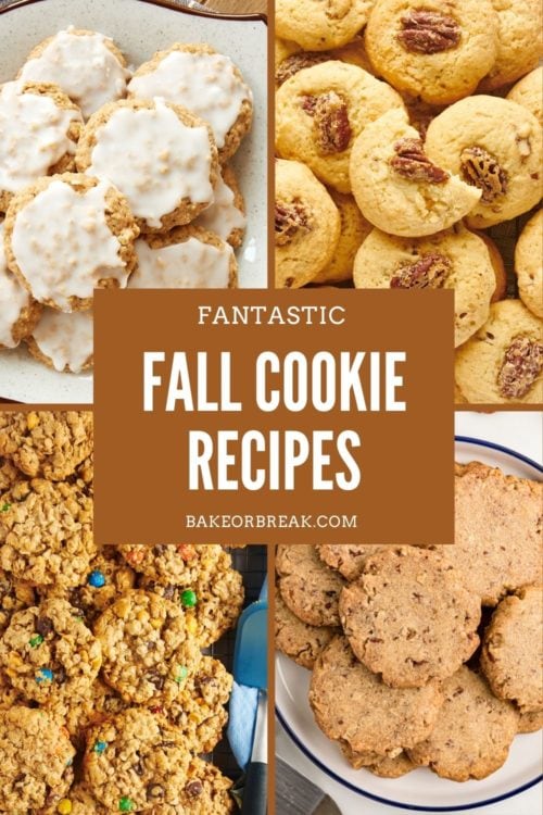 Fantastic Fall Cookies - Bake or Break