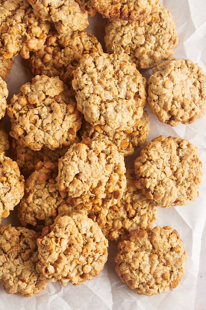 toasted-oatmeal-scotchie-cookies-recipe-buttery-rich-tasting-recipe