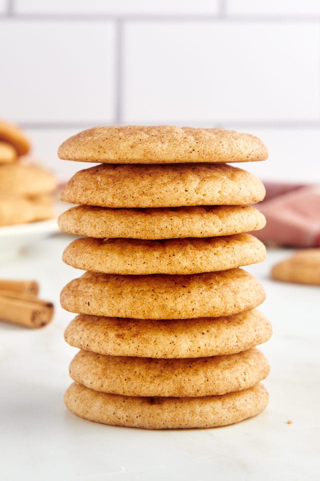 Soft and Chewy Snickerdoodle Recipe Bake or Break