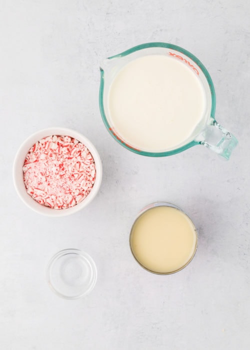 Easy, NoChurn Peppermint Ice Cream Recipe Bake or Break