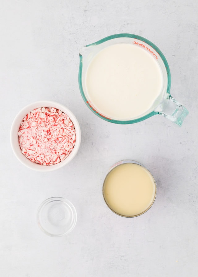 Easy, NoChurn Peppermint Ice Cream Recipe Bake or Break