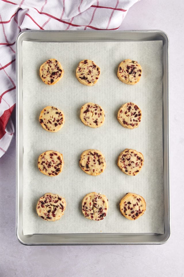 Overhead view of cranberry orange shortbread cookies on parchment lined baking sheet