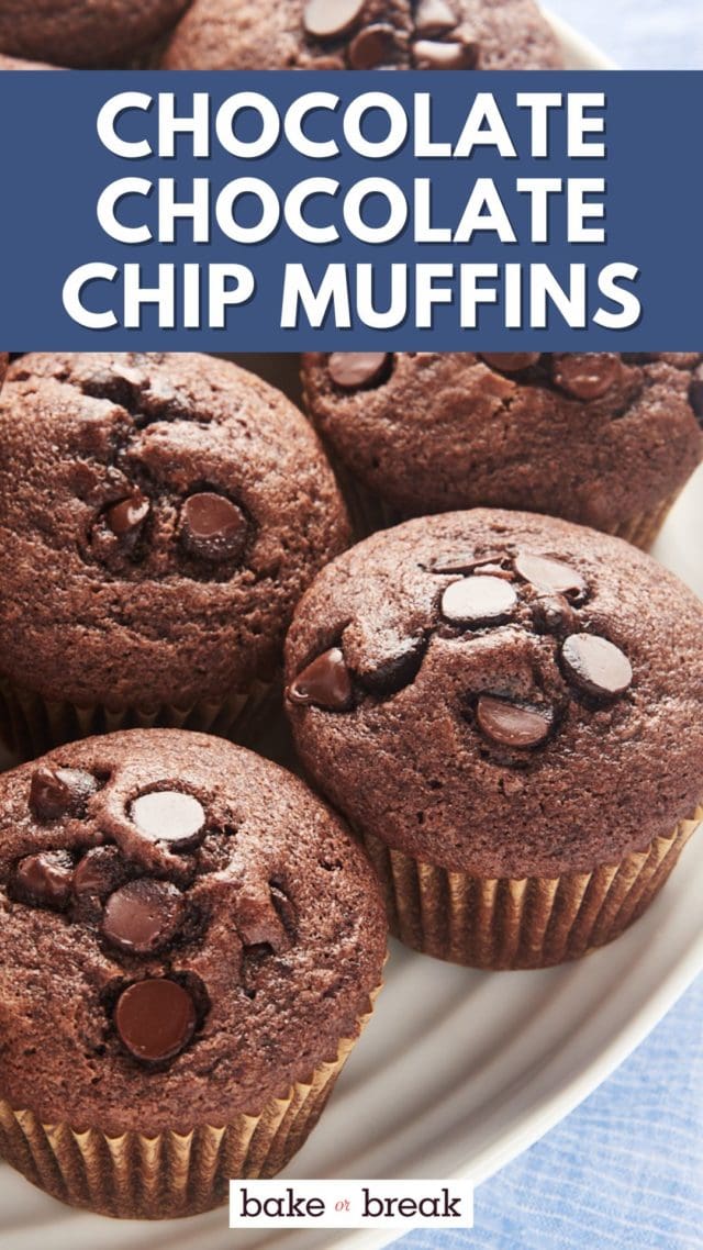 chocolate chocolate chip muffins on a white plate; text overlay "chocolate chocolate chip muffins bake or break"
