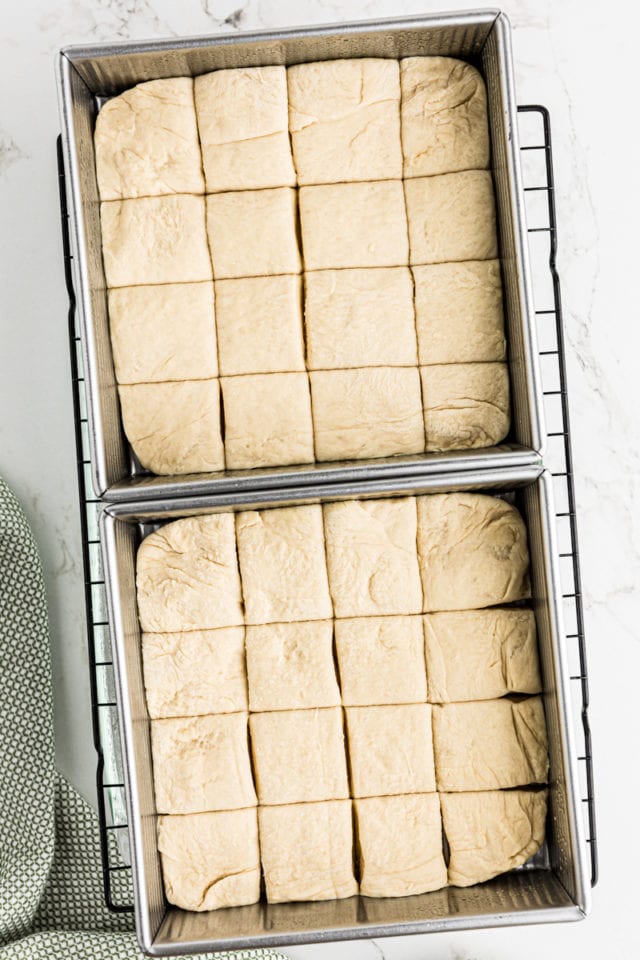 Overhead view of cut dough in two pans