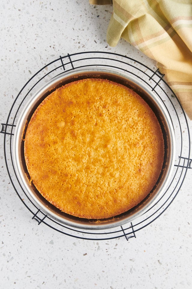 olive oil cake of freshly baked olive oil cake in a cake pan cooling on a wire rack