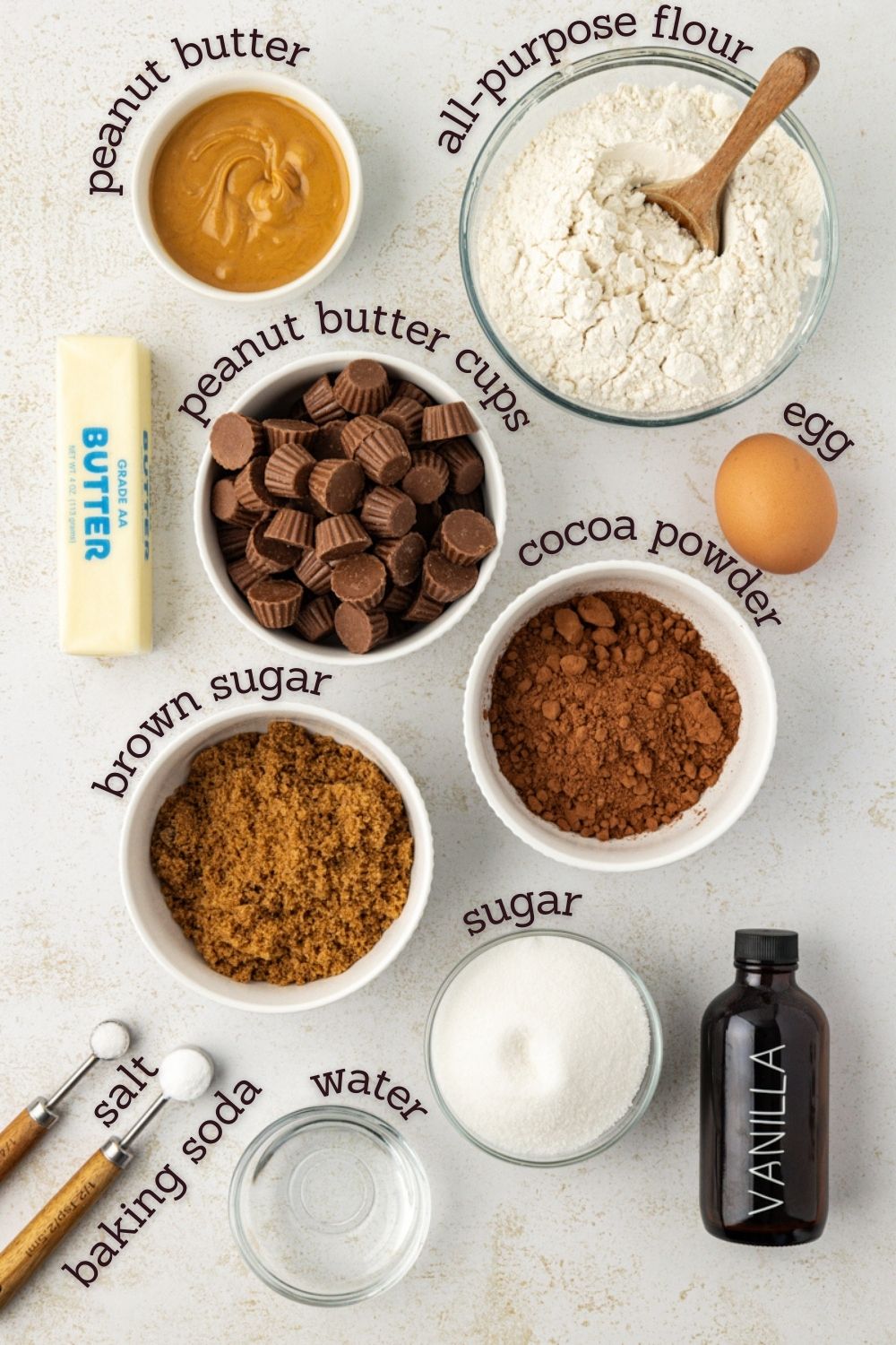 overhead view of ingredients for chocolate peanut butter cookies