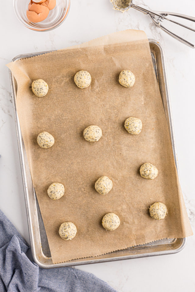 overhead view of lemon poppy seed cookie dough balls on a parchment-lined baking sheet