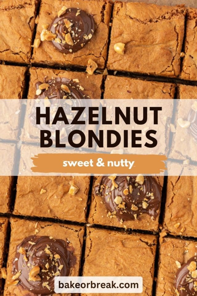 overhead view of hazelnut blondies topped with dollops of Nutella; text overlay "hazelnut blondies sweet & nutty bakeorbreak.com"