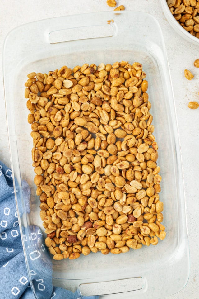 overhead view of peanuts in the bottom of a glass pan