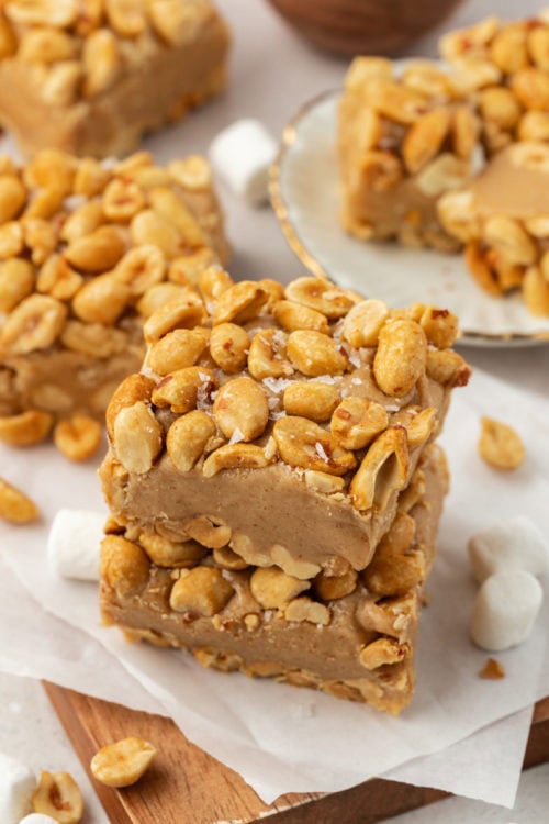 Salted Nut Squares Bake or Break