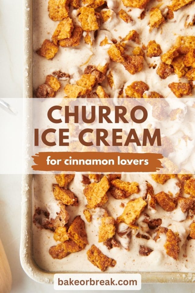 Overhead view of churro ice cream in loaf pan; text overlay "churro ice cream for cinnamon lovers bakeorbreak.com"