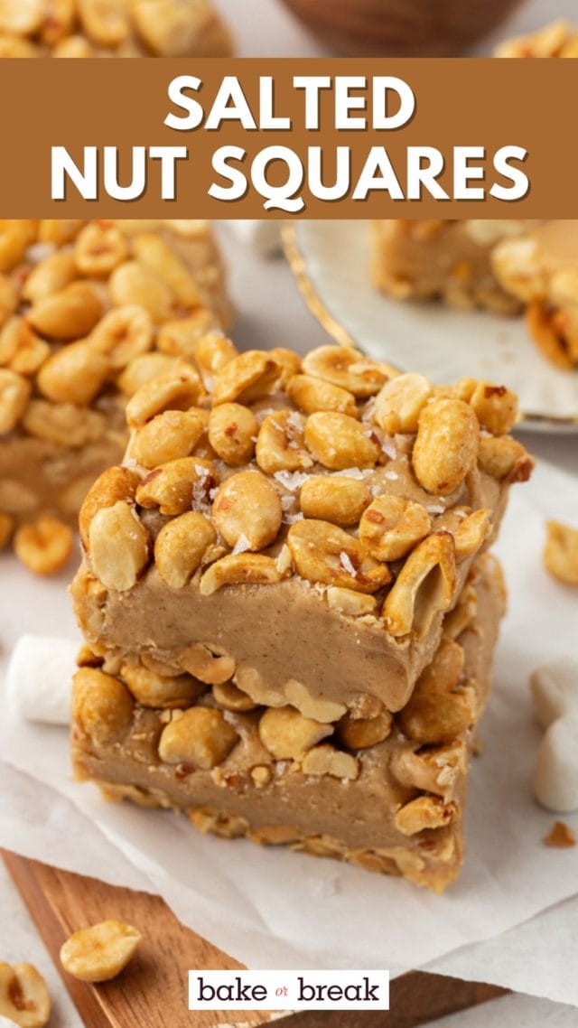 stack of two salted nut squares with more bars surrounding; text overlay "salted nut squares bake or break"