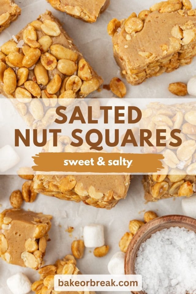 overhead view of salted nut squares on a countertop; text overlay "salted nut squares sweet & salty bakeorbreak.com"