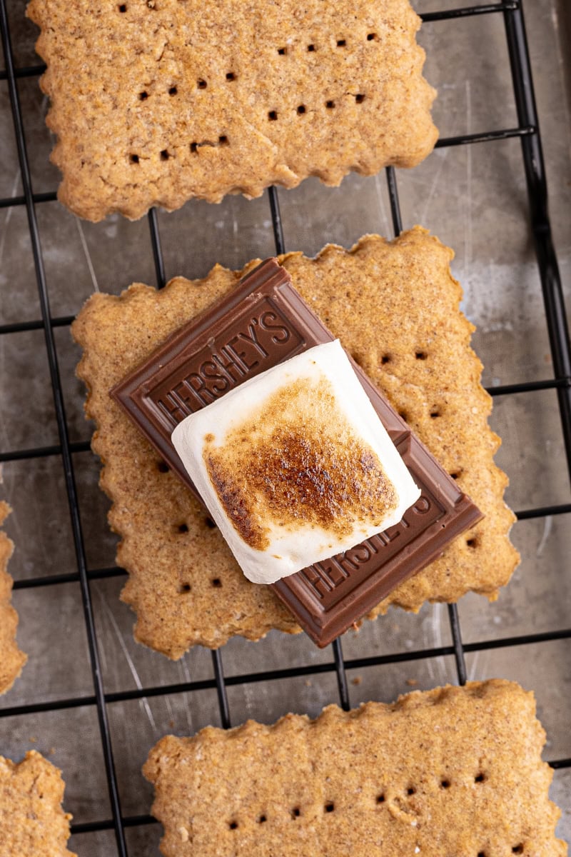 overhead view of chocolate and a toasted marshmallow on top of a homemade graham cracker