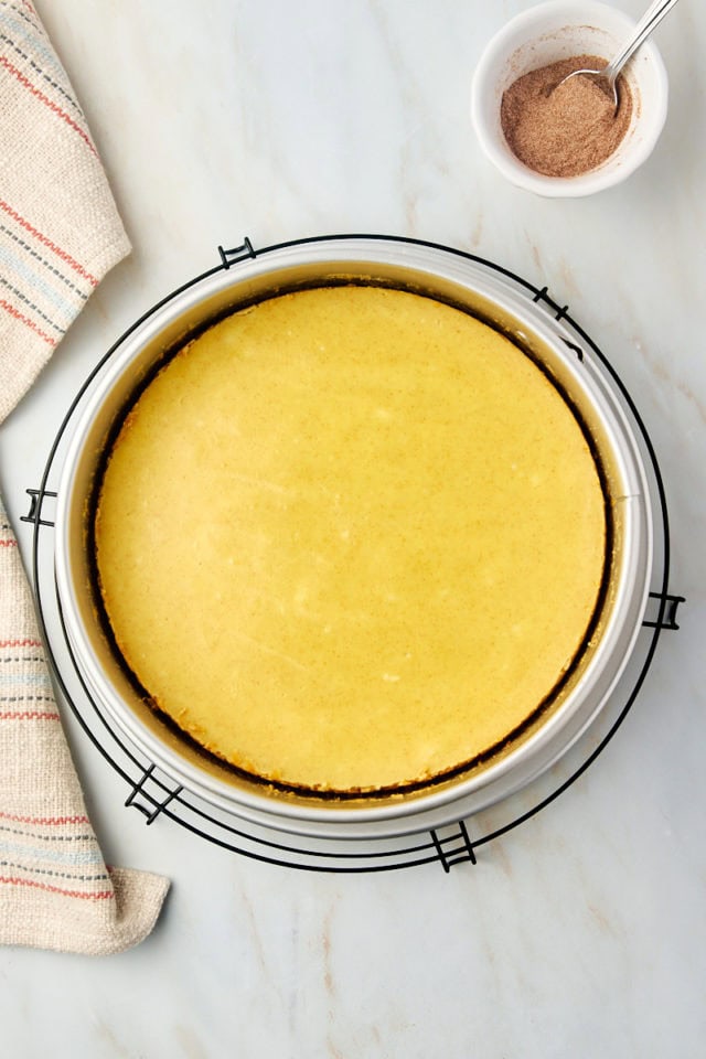 overhead view of freshly baked snickerdoodle cheesecake