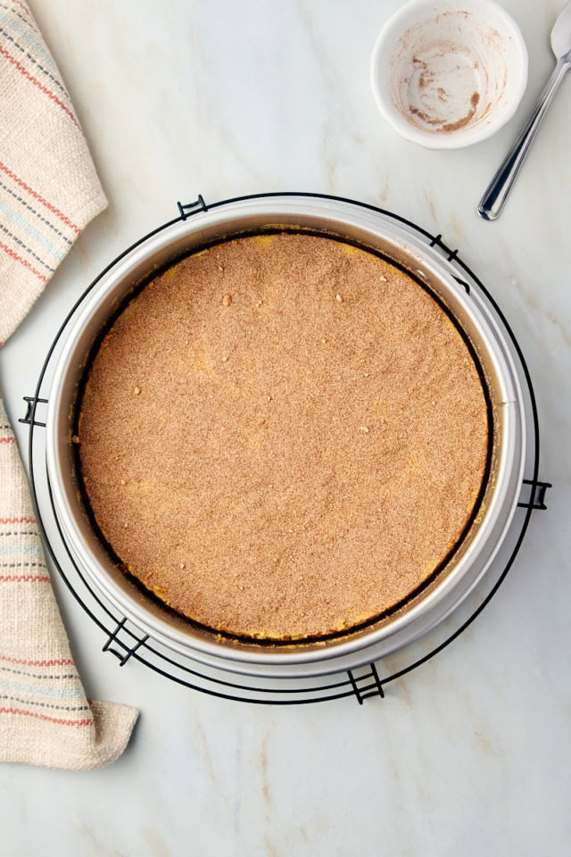 overhead view of snickerdoodle cheesecake with cinnamon-sugar topping