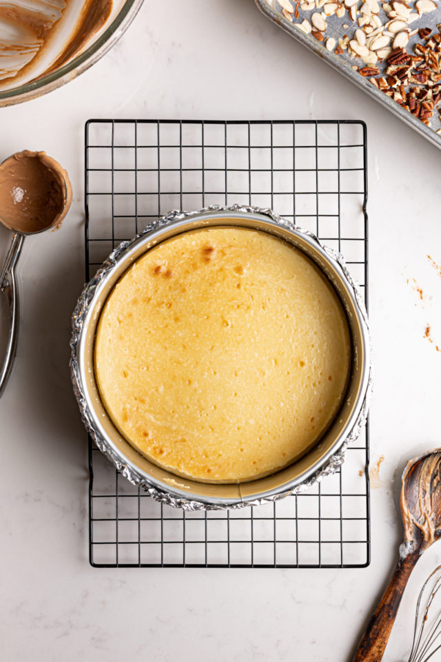 Baked cheesecake in pan on wire rack