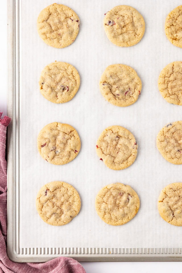 overhead view of freshly baked macadamia butter cookies on a lined baking sheet