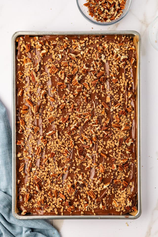 overhead view of finished chocolate peanut butter cereal bars topped with nuts and toffee bits