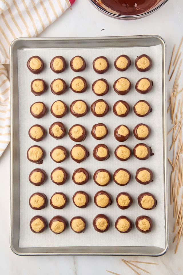 overhead view of buckeyes just dipped into chocolate and placed on a lined baking sheet