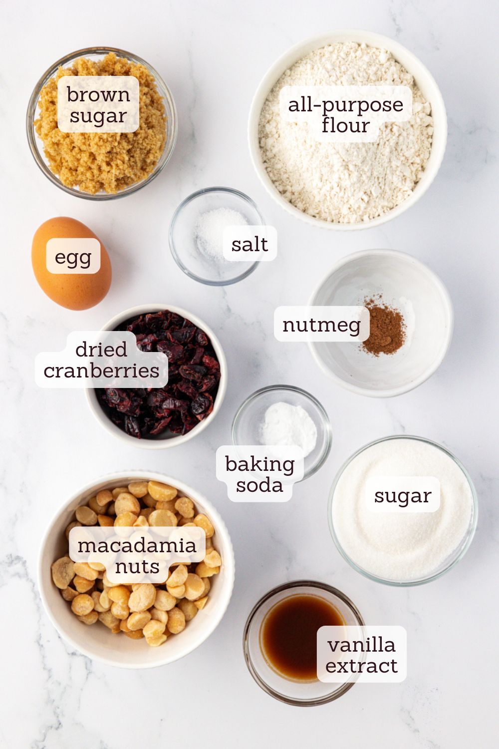 overhead view of ingredients for macadamia butter cookies