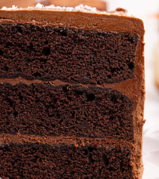 close-up of a slice of sweet and salty cake