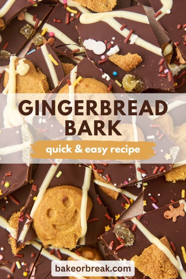 overhead view of several pieces of gingerbread bark; text overlay "gingerbread bark quick & easy recipe"