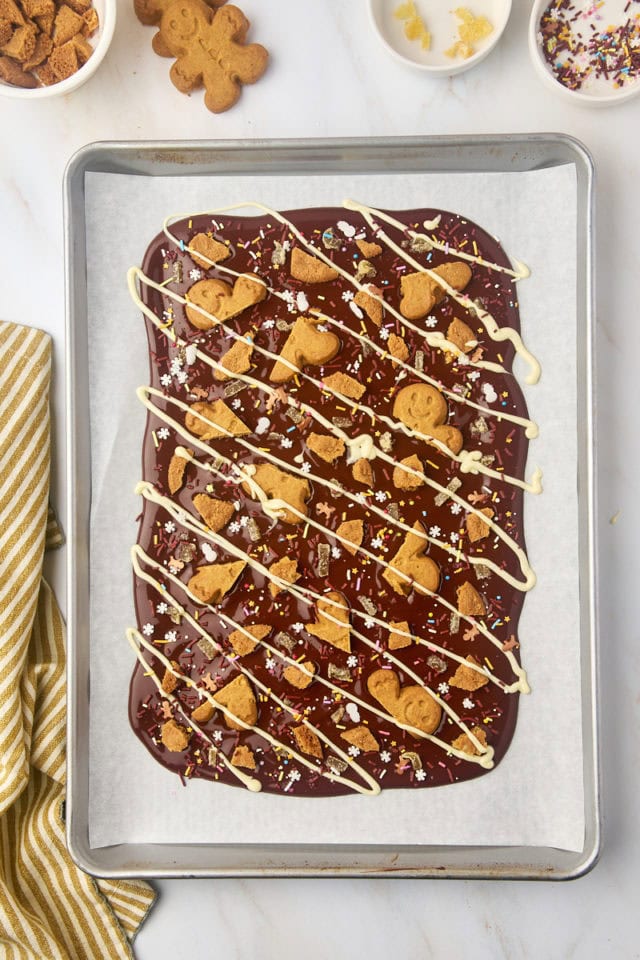 overhead view of gingerbread bark with toppings and a white chocolate drizzle