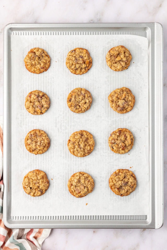 overhead view of freshly baked oatmeal date cookies on a lined sheet pan