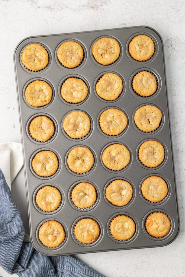 overhead view of freshly baked white chocolate blondies in a mini muffin pan