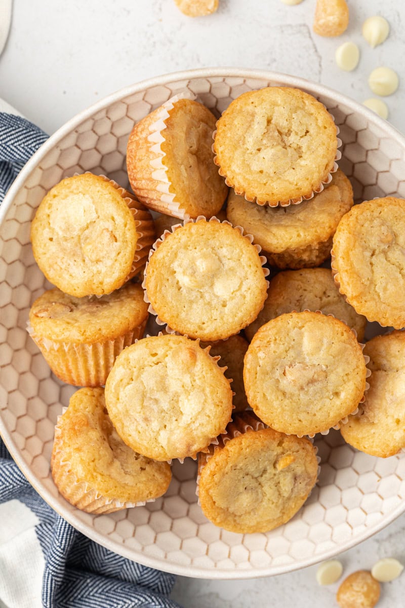 overhead view of white chocolate blondies on a white plate