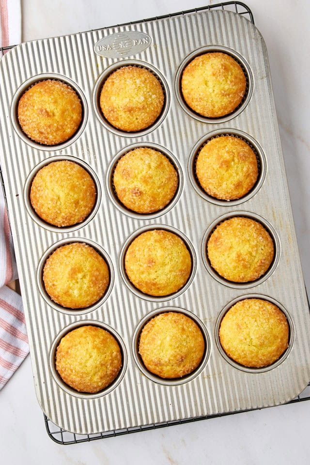 overhead view of freshly baked orange ricotta muffins