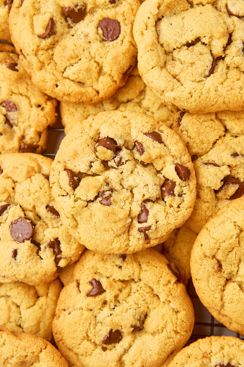 close-up overhead view of several tahini chocolate chip cookies