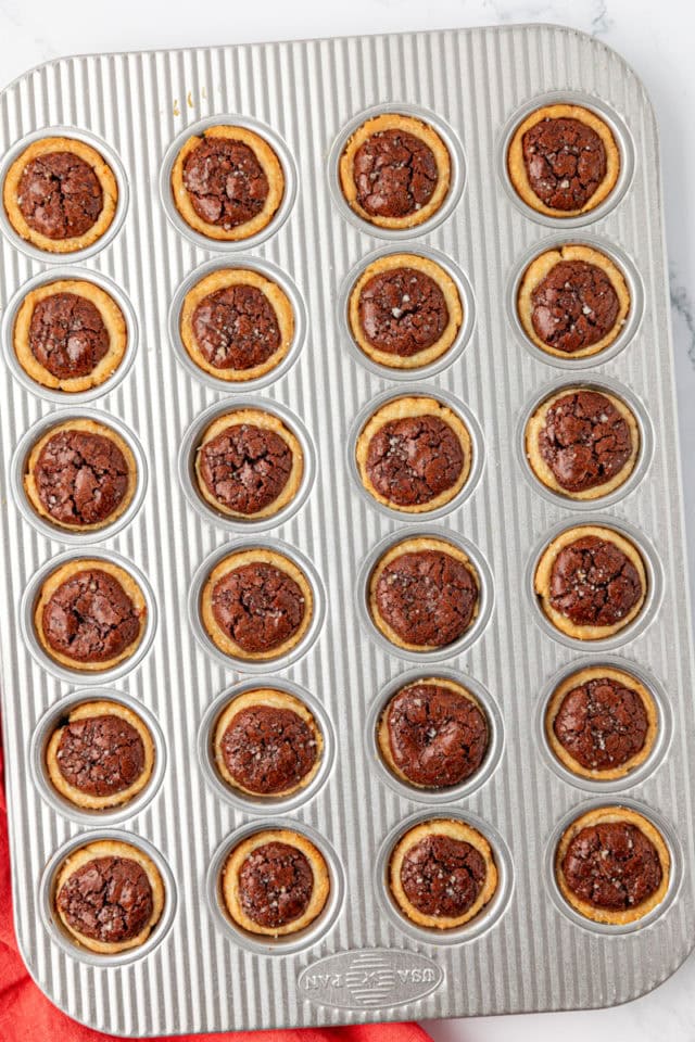 overhead view of freshly baked brownie tassies in a mini muffin pan