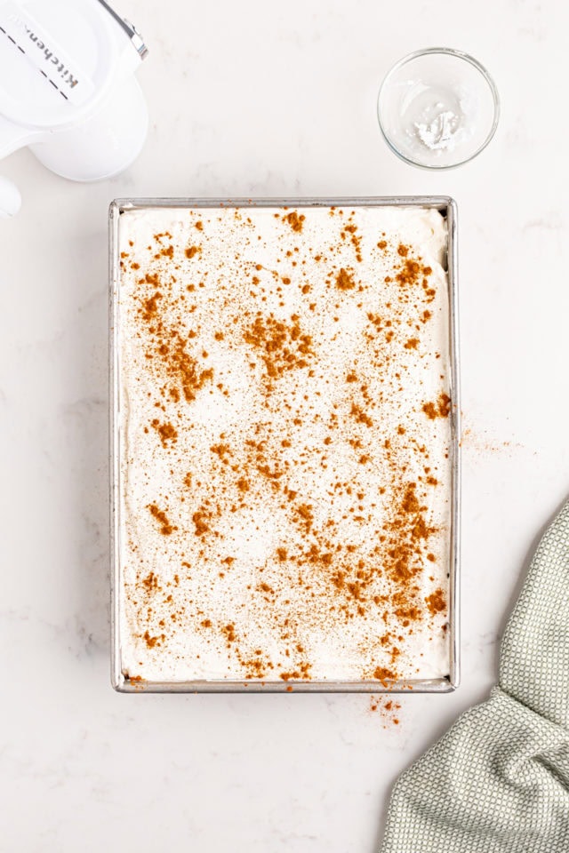 overhead view of tres leches cake dusted with cinnamon