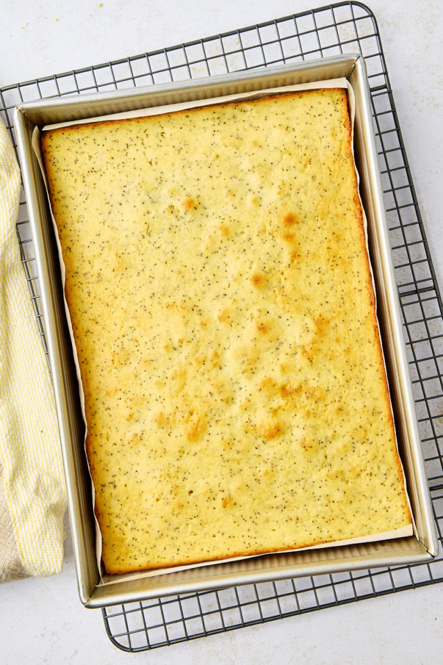 overhead view of freshly baked lemon poppy seed cake in a 9x13 pan on a wire rack