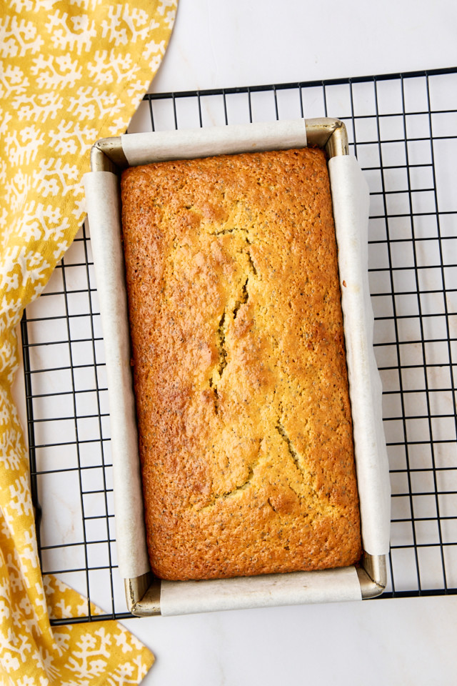 overhead view of freshly baked lemon poppy seed loaf in a loaf pan on a wire rack