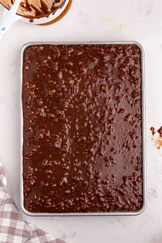 overhead view of freshly baked and frosted Texas sheet cake in a rectangular baking pan