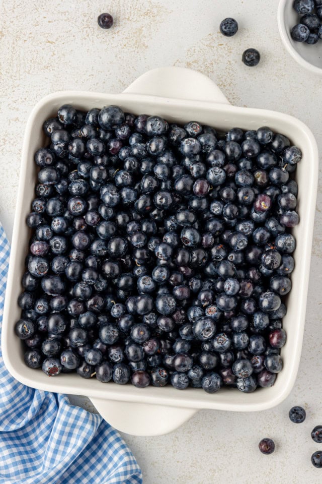 overhead view of blueberry cobbler filling in a white baking dish