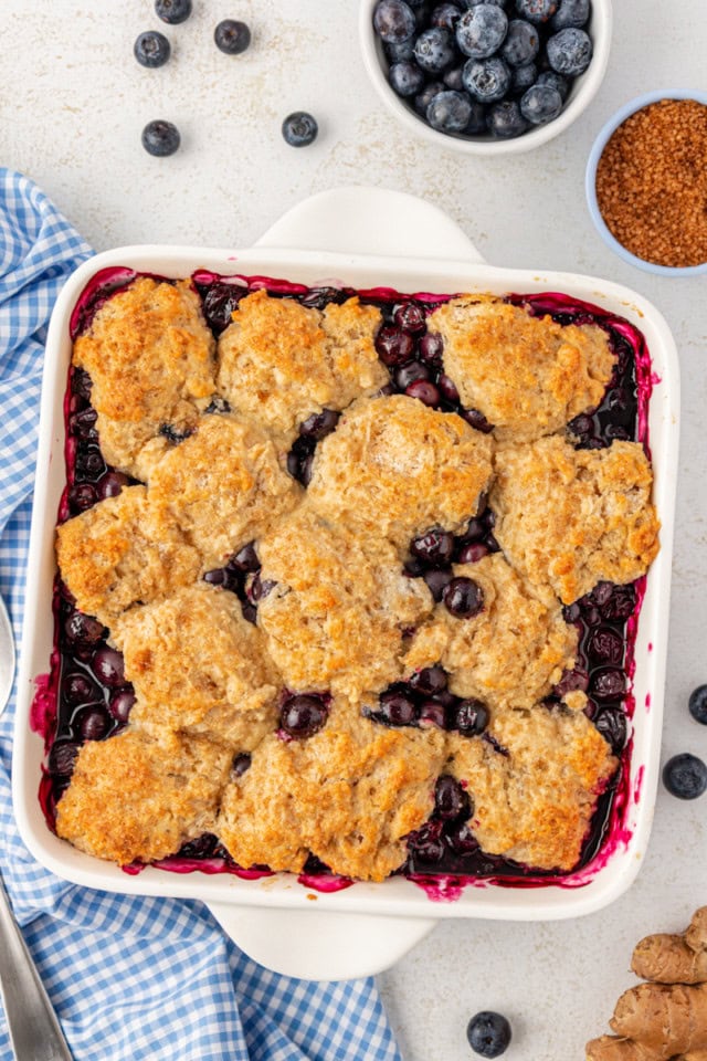 overhead view of freshly baked blueberry cobbler in a white baking dish