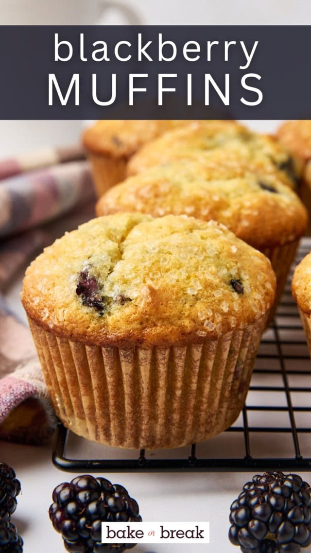 a blackberry muffin on a wire rack wth more muffins in the background; text overlay "blackberry muffins"