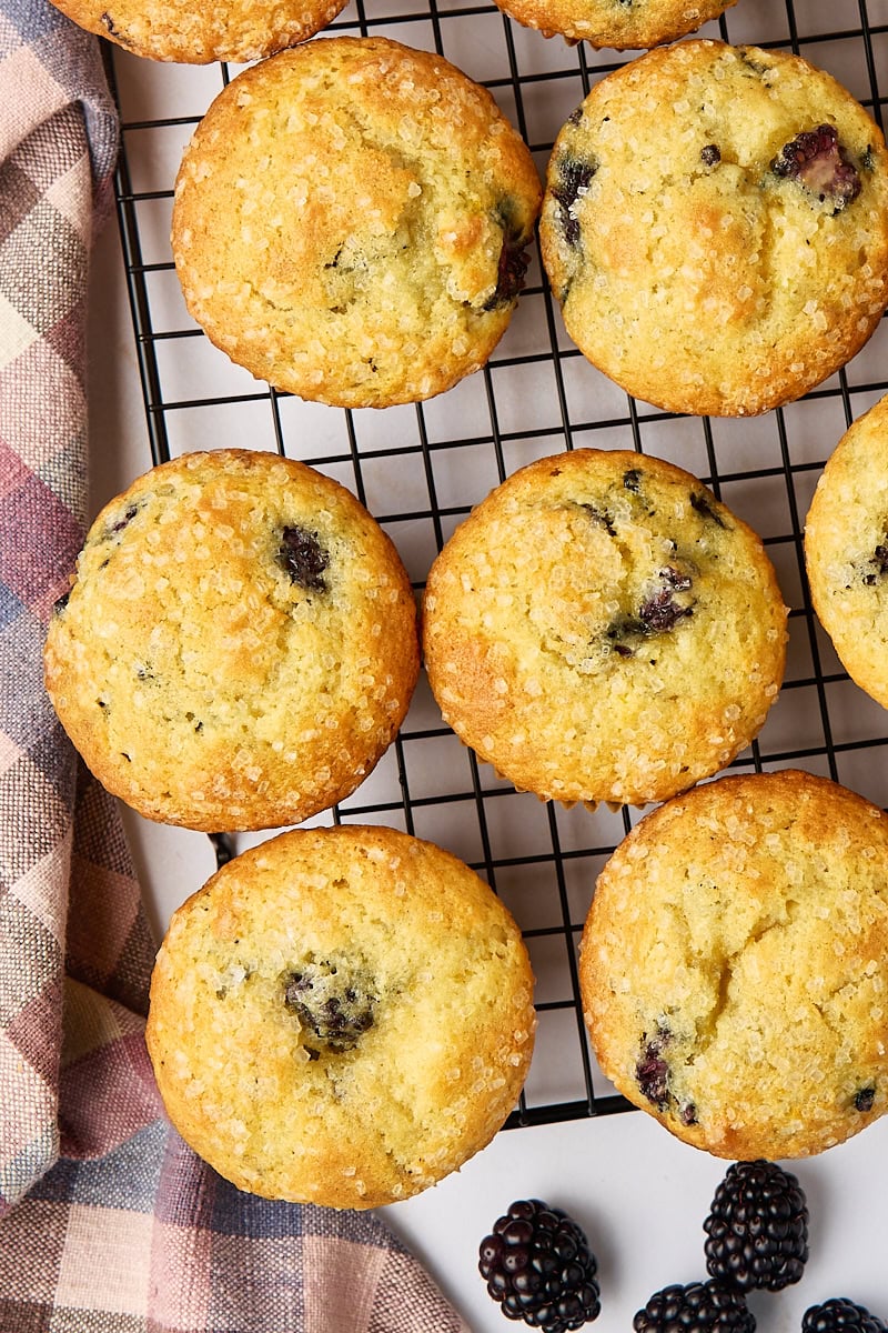 overhead view of blackberry muffins on a wire rack